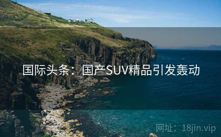 国际头条:国产SUV精品引发轰动 第2张 国际头条:国产SUV精品引发轰动 第2张