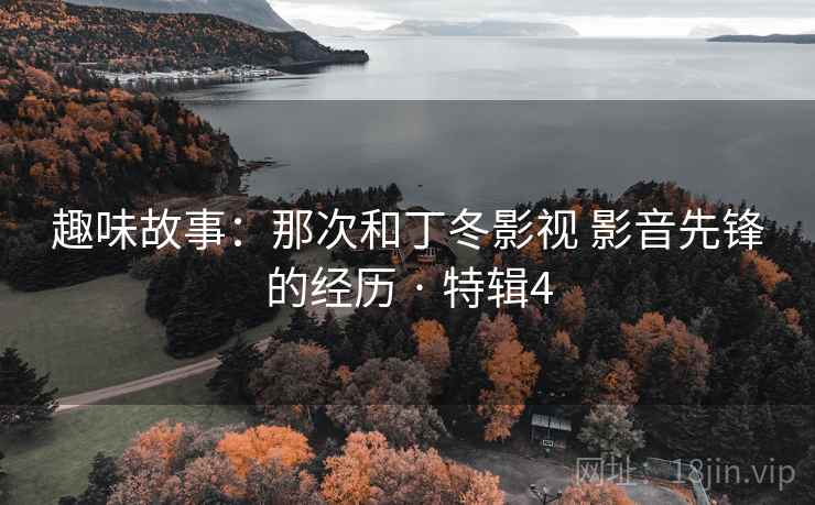 趣味故事：那次和丁冬影视 影音先锋的经历 · 特辑4  第2张